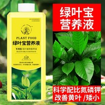 화초 식물영양제 LUYEBAO 영양액 인산이수소칼륨 엽면 비료 꽃 범용 엽록소 즙이 많은, [2] 녹색잎보물동백스페셜 뉴트리언트 솔루션 각 500