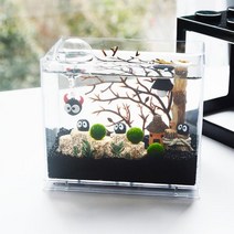 {It 아이템} 수경식물 수경식물 마리모 애완 반려 식물 0.8cm 마리모 마리모키우기 모, 마리모0.8cm