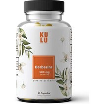 고강도 베르베린 500mg HCl 보충제 건강한 혈당 포도당 대사 면역 체계 인슐린 지원, 90 정