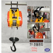 윈치 미니전동윈치 호박윈치 운반하역 호이스트 도르래 크레인 와이어 TY-250S SY리프트