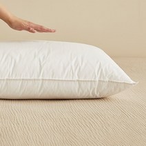한샘 구스필 호텔 베개솜 높은형, 1개