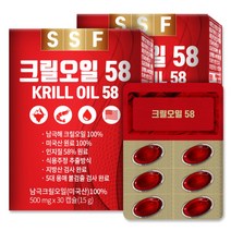 순수식품 크릴오일 인지질58%이상원료 2박스(60캡슐) 크릴오일58, 30캡슐, 2box