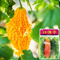 여주 씨앗 (10립), 단품, 1