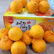2023년 나영이네농장 고당도 한라봉 제주산 청견오렌지 4.5kg 9kg- 실중량 달아요, 꼬마청견오렌지 9kg-꼬마청견(실중량)