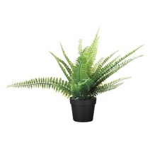 이케아 FEJKA 페이카 인조식물 고사리 9cm 104.339.46