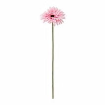 이케아 스뮈카 조화 거베라 핑크 50cm