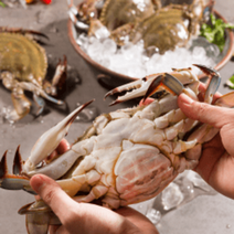 바다온담 연평도 꽃게 냉동꽃게 암꽃게 국산꽃게 1kg, 연평도 암꽃게 대사이즈 (2~3미), 1개