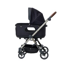 [로얄테일즈] 그레이스 클래식 Plus (라지사이즈) 블랙