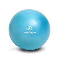 ProBody Pilates 소형 운동 공 22.9cm(9인치) 벤더 볼 미니 소프트 요가 볼 안정성 바 피트니스 복근 코어 물리 및 물리 치료 볼 홈 체육관 및 사, 기본