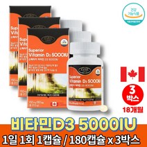 트레이더스 햇빛 메가 고함량 비타민d 5000iu 권장량 고르는법 VITAMIND3 60대 70대 80대 노인 할아버지 할머니 비타민D 영양제, 3박스