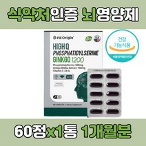 징코 포스파티딜세린 기억력 인지력 인지능력 포스파티셀린 빌로바 GINKGO BILOBA 진코 찡코 찐코 식약처인증 식약청인증 혈행 개선 향상 수험생 PS 캡슐 정 알약