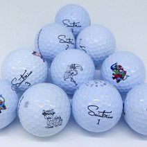 세인트나인 캘러웨이 타이틀리스트로스트볼 A- 등급 20알 착한 로스트볼 골프시즌, 세인트나인화이트