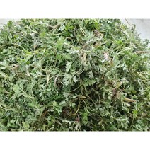 광양 봄나물 노지 생쑥 자연산 쑥, 쑥 500g