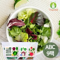 데이밀 자연을담은 샐러드 실속 혼합구성 100g x 9팩 국내산 ABC야채믹스, 드레싱없음