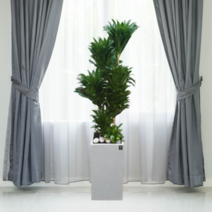 에코플랜트 대형화분 개업화분 거실인테리어화분[서울.경기 평일 당일배송(토요일 오후 일요일 주문건 월요일배송)] <지방배송불가 및 영종도 가평 강화도 배송불가>, 1개, 19. 콤펙타 갈색” class=”wr-img”></a></div></p></div></p></div></p></div><div class=