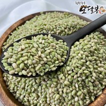 특품 2022년 햇 국산 녹미 녹진주 녹색쌀, 1개, 5kg