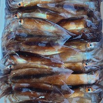 통통한 손질 통오질어 2미 280g 내외 원양산 냉동 중짜 오징어, 손질 통 오징어 2미 (270g 내외) * 5팩, 5개