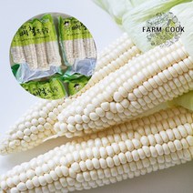 [팜쿡]괴산 삶은 대학찰옥수수 실속냉동 32개(팩당4개), 8팩