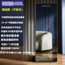 의류관리기 옷드라이 미국 완전 자동 스팀 다림질 의류 관리 기계 가정용 건조기 주름 제거 캐비닛, 17. 3565도까지 조절 가능한 거울 400L 온도