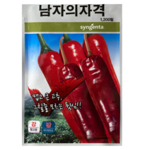 남자의자격 고추씨앗 1200립 청고병 역병 바이러스내병계 신미도강 대과 태양초종자 신젠타