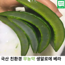 국내산 무농약 친환경 생 잎 알로에 베라 2kg 3kg 5kg 10kg 국산 유기농 알로에베라 식용 알로에잎 사포나니아 생잎 알로에주스 알로에팩