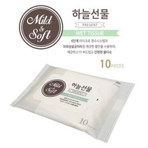 티앤비 피톤치드 저자극 하늘선물 휴대용 물티슈 10매 X 20개 일회용물티슈 8W7F40A2, 1개, 1개