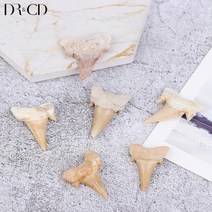 과학 상어 이빨 화석 관찰 세트 발굴Megalodon 치아 화석 상어 해양 생물학 과학 교육 표본, 한개옵션0