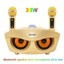 가정용노래방기계 차량용 코인노래방 오락실 SD306Plus30W 듀얼 무선 마이크 통합, 금