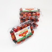 스테비아 대추 방울 토마토 애플마토, 1kg, 1개