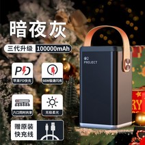 캠핑용배터리 캠핑 파워뱅크 보조 차박 밧데리 고속충전 노트북 100000mAh 220V, D 100000mAh