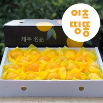 선물용 산지직송 제주도 서귀포 고당도 황금향 1.6kg 3kg 5kg, 황금향(선물용/부직포포장), 4.5kg(소과)