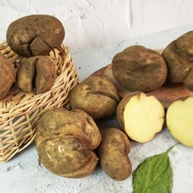 [미식한가] 못생겨도 맛있는 제주 구좌 파지 못난이 감자 (상-대품), 못난이 파지 감자 3kg (상-대품)