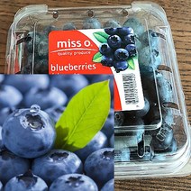 칠레 생 블루베리 생과 미국산 국산 생 블루베리 125g, 4팩, 4개