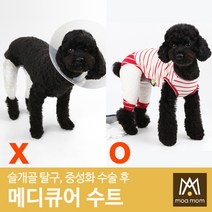 강아지 넥카라 필요없음 슬개골탈구 수술보호 강아지수술복 환견복 중성화복 중성화수술복 메디큐어수트, 로얄 블루