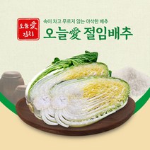 오늘애푸드 해남 절임배추20kg, 3월10일금요일 도착