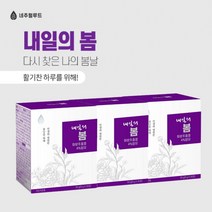 화분추출물 도라지 단호박 연자육 호밀 복합 추출물 그라미넥스 G60 봄 가을 환절기 활력 몸이 무거울때 보충제, 3BOX(3개월분)