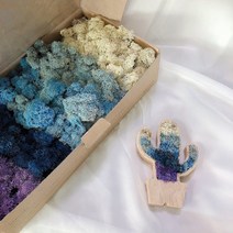 스칸디아모스 공기정화식물 천연이끼 그라데이션블루 학교수업 테라리움 재료 이끼구매, 1개