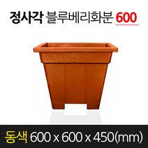 서경농원 고무 블루베리화분 정사각형 동색 600 x 450 분갈이
