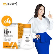 비타민마을 와이즈 종합비타민 멀티비타민 4박스(총8개월분), 옵션선택