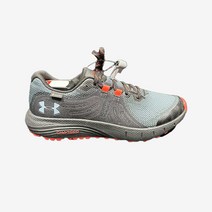 언더아머 운동화 남성 차지드 밴디트 트레일 고어텍스 GORE TEX 3022784-001