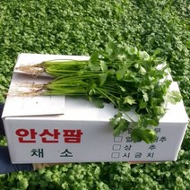 안산팜 고수 300g, 단품