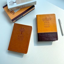 두란노 큰글씨 우리말 성경 쉬운 성경책 단본, 3.비전 대_파란색