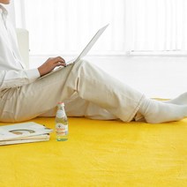 먼지없는 워셔블 코지 러그 대형 거실카페트 단모 사계절