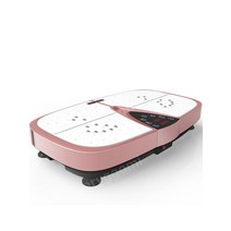 덜덜이 진동운동기구 쉐이크보드 전신 흔드는 기계 체중 감소 가정용, B