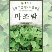마조람허브씨앗 0.5g(약2000립), 단품