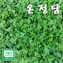 온정담 친환경 데친 쑥 쑥국용 (냉동쑥), 쑥국용(살짝데침) / 1 KG