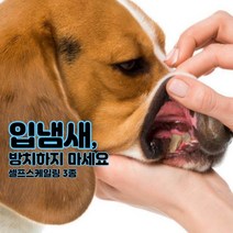 재그코퍼레이션 고양이 강아지 애견 애묘 입냄새 스케일링 치석제거기 치주염 프라그오프 스켈링 치아관리 스케일러, 1개, A형