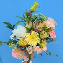 [아이플라워] 데일리꽃이벤트1+1 (하루에 한분 추첨) S꽃정기구매 꽃 정기구독 생화 꽃다발 꽃랜덤박스 화훼농가직거래 꽃경매 꽃배달