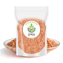 렌틸콩 렌즈콩 렌탈콩 레드 250g, 없음