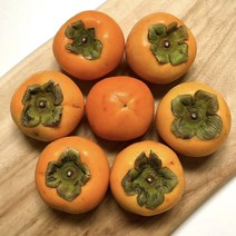 윤제상회 아삭 특대과고당도 창원 진영 단감 옵션별 대용량 단감 5kg 10kg, 진영단감 10kg S사이즈 50개